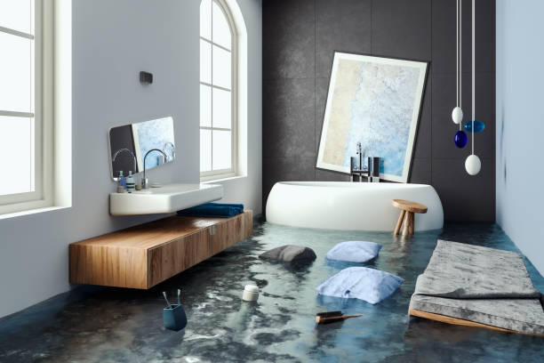 Best Flood damage cleanup  in Lake Of The Woods, VA