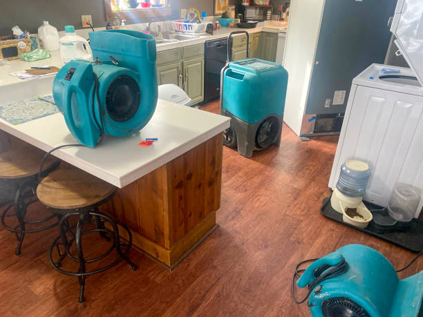 Local water damage restoration in Lake Of The Woods, VA