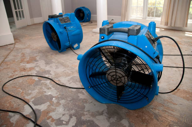 Best Carpet water damage restoration  in Lake Of The Woods, VA