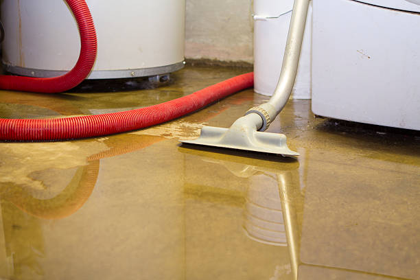 24/7 water damage repair in Lake Of The Woods, VA