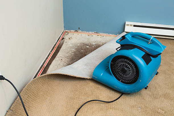 Best Sewage cleanup and water damage restoration  in Lake Of The Woods, VA